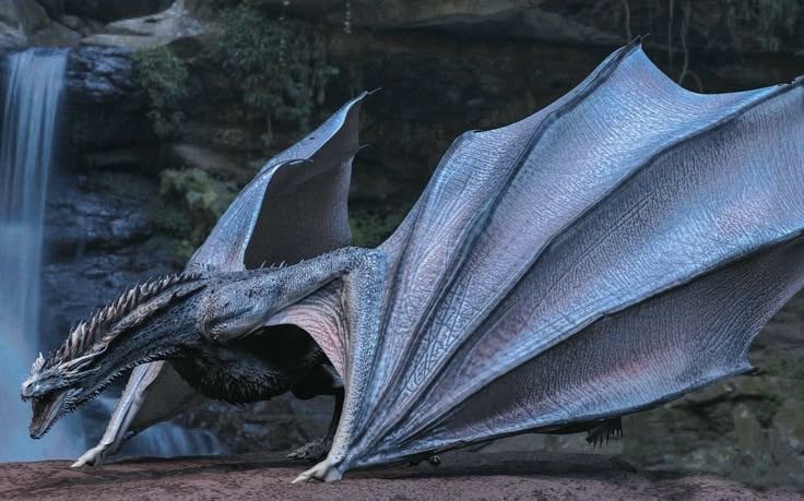 Dreamfyre — A Song of Ice and Fire & House of the Dragon dragon lore