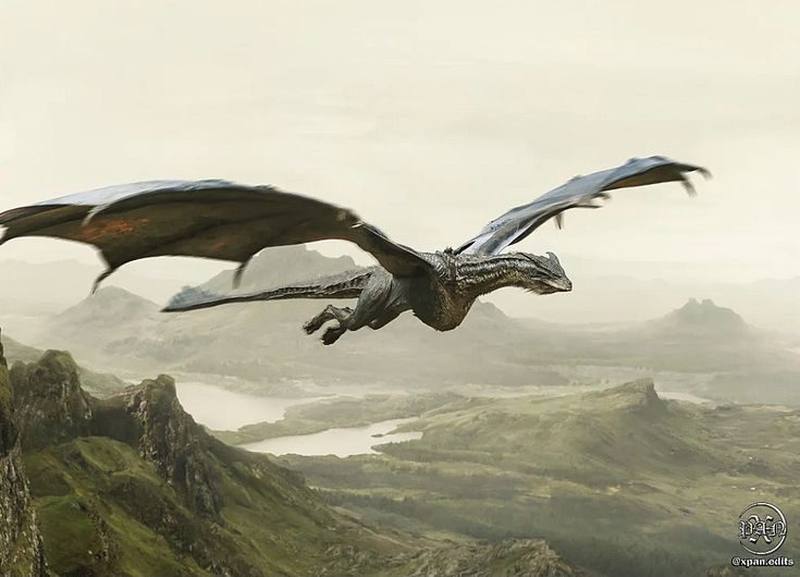 Silverwing — A Song of Ice and Fire & House of the Dragon dragon lore